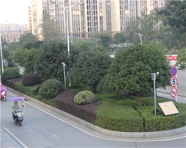 綜合物業(yè)服務