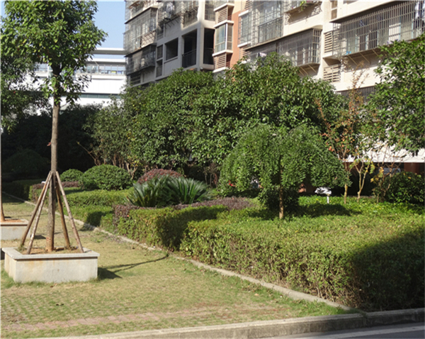 綜合物業(yè)服務(wù)