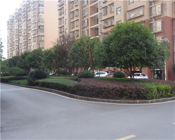 綜合物業(yè)服務(wù)