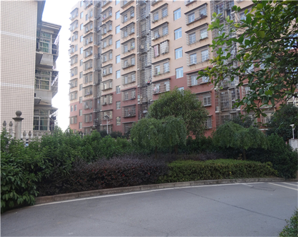 綜合物業(yè)服務(wù)