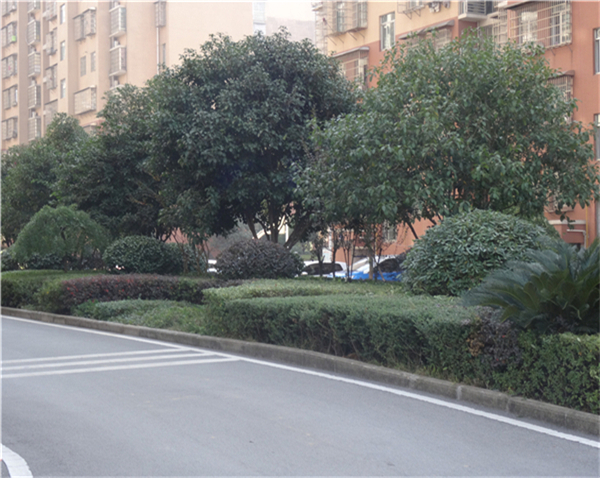 綜合物業(yè)服務