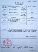 檢測報告